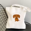 Se876eb2ac25e4c7f8e29356695ba57322.jpg 960x960q75.jpg - Sausage Dog Gifts UK
