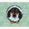 flat750x075f pad750x1000f8f8f8.u15 10 - Sausage Dog Gifts UK