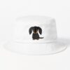 ssrcobucket hatproductfafafaca443f4786srpsquare1000x1000 bgf8f8f8.u2 2 - Sausage Dog Gifts UK